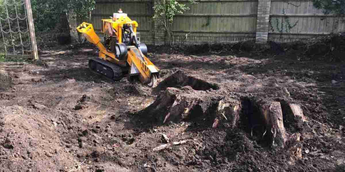 Ringwood Tree Removal - Rangeview Tree Services