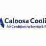 Caloosa Cooling Lee County LLC Profile Picture